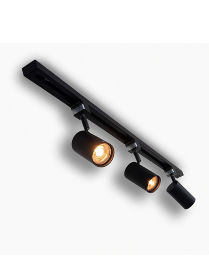 Modern Black 3-Head Adjustable LED Track Light