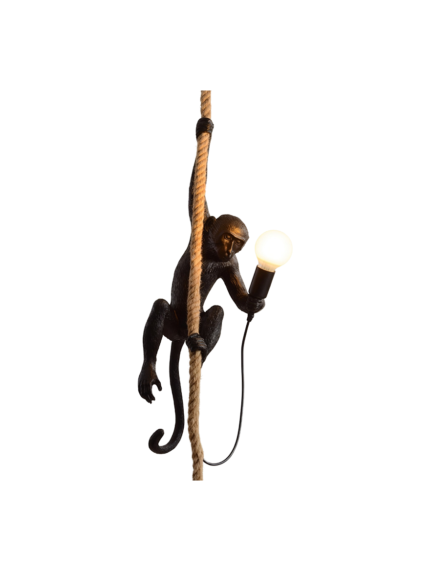 Monkey Rope Pendant Light